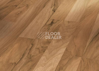 Ламинат Parador Basic Plus 200 1426416 Грецкий Орех фото 1 | FLOORDEALER